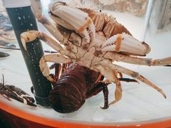 -万龙洲海鲜(大兴绿地缤纷城店)