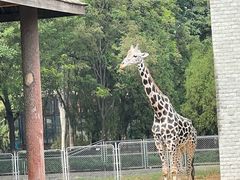 -石家庄市动物园