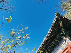 -潭柘寺景区