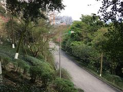-翠屏公园