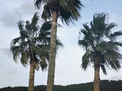 -咸德海水浴场