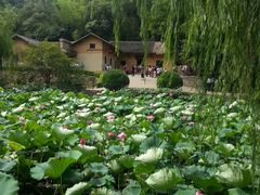 -韶山毛泽东同志故居