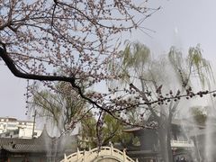 -碑林公园