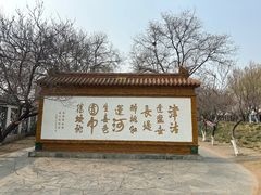 -桃花堤公园