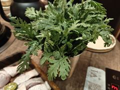 -蘑界·野生菌火锅(深业上城店)