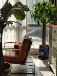 -洁铭新加坡医美