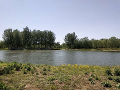 -东郊湿地公园