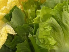 -探窝·竹笙椰子鸡(杨箕店)