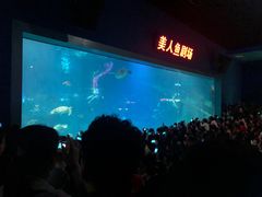 -福州罗源湾海洋世界旅游区