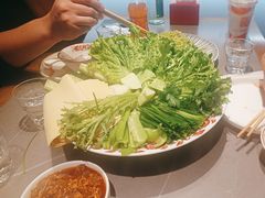 -金手勺东北菜馆(大屯北路店)