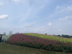 -径山花海