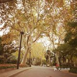 这次来上海住在长风公园附近，清早起来去散散步