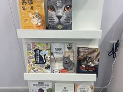 -爱洗澡的猫(望京店)
