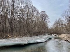 -洮儿河国家湿地公园