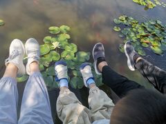 -南通洲际绿博园