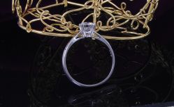 DSC_0424-威德钻石-克拉钻大本营(南京东路店)