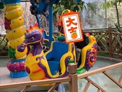 -南宫五洲植物乐园