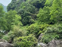 -刘伯温故里景区百丈漈