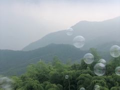 -江南天池