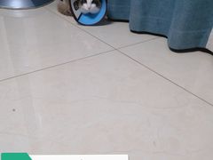 -恒幸动物医院·急重症转诊中心·神经内外科·CT核磁