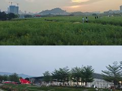 -光明小镇欢乐田园