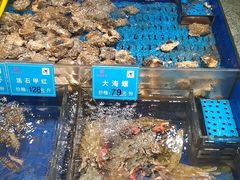 -乔家小院•非遗驴肉•本地小海鲜(滨河路店)