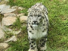 -青藏高原野生动物园