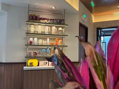 -COSTA COFFEE(新奥购物中心店)