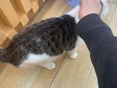 -正南奇北·怪味胡豆(较场口夜市店)