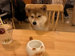 -柴の食堂·日式家庭料理·熊之肆(大学路店)