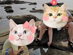 -老虎石海上公园