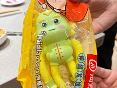 -海底捞火锅(新松江路店)