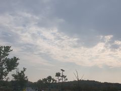 -花博汇(知音花月夜)