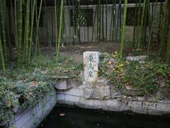 -趵突泉景区