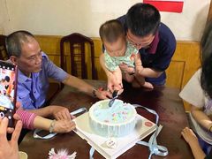 -糕小爱·动物奶油生日蛋糕定制(合肥总店)
