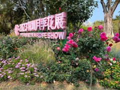 -人民公园(罗湖区)