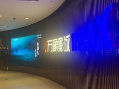 -万象影城(石家庄万象城IMAX激光店)