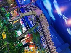 -诸城市恐龙博物馆