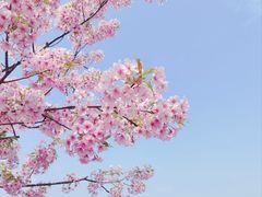 -新江湾城公园