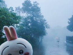 -紫金山山顶公园