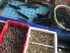 -霞涌市场海鲜摆卖区
