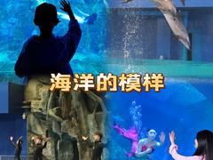 -威海华夏城景区