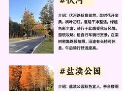 -黄海国家森林公园