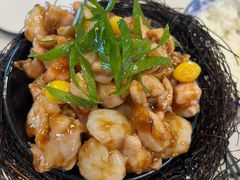 -丁老爷子苏香圆