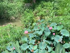 -牛岗山公园