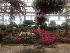 -南通洲际绿博园