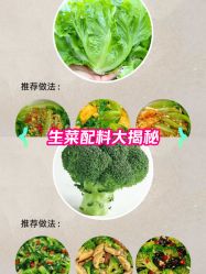 -Fundi张玉珊修身堂·indiba·BTL科技瘦身