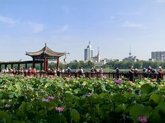-莲花池公园