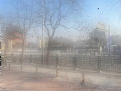 -面爱面 - 老北京炸酱面(前门店)