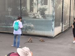 -柬埔寨国家博物馆